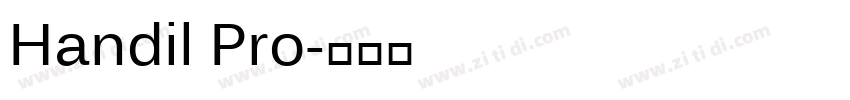 Handil Pro字体转换